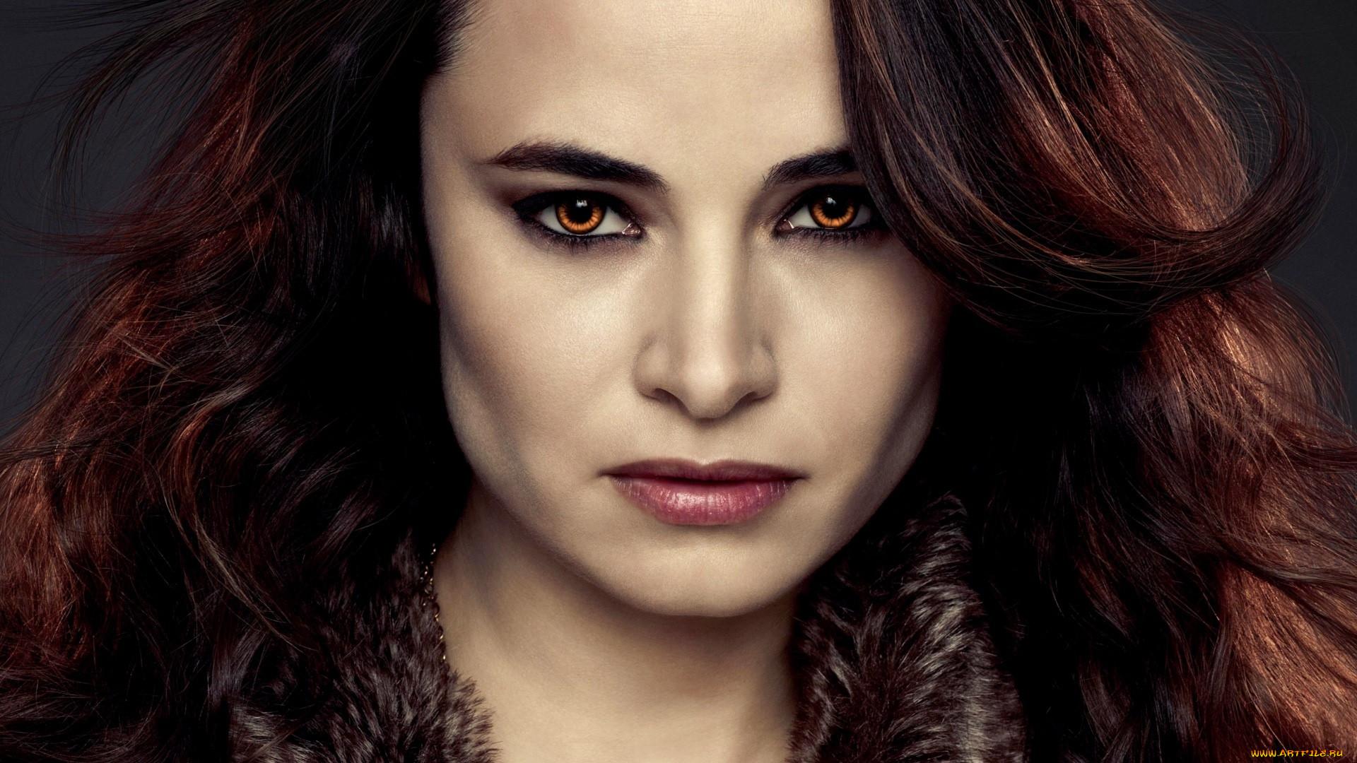  , the twilight saga,  breaking dawn part 2, 